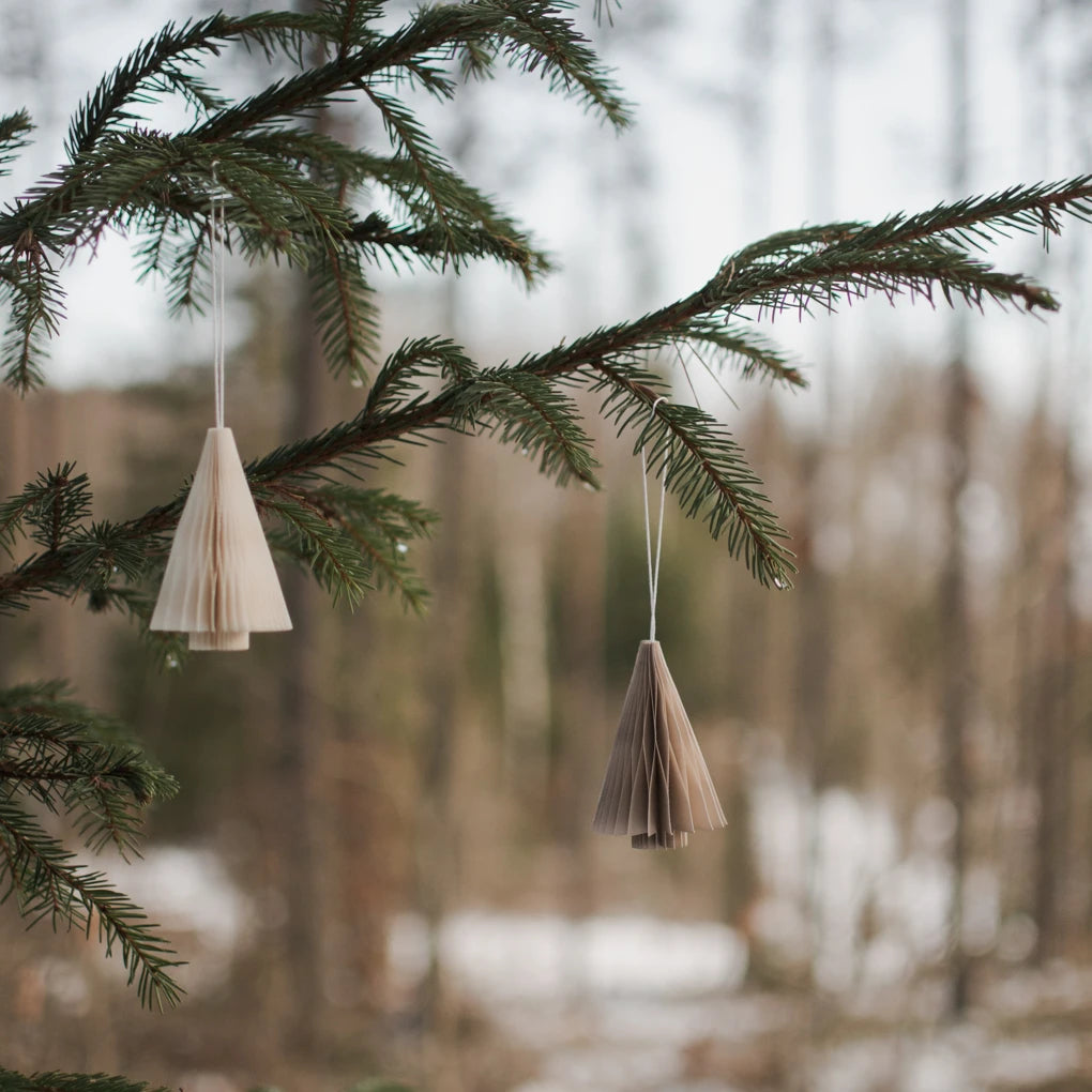 Paper Tree i sand fra DBKD på grantræ